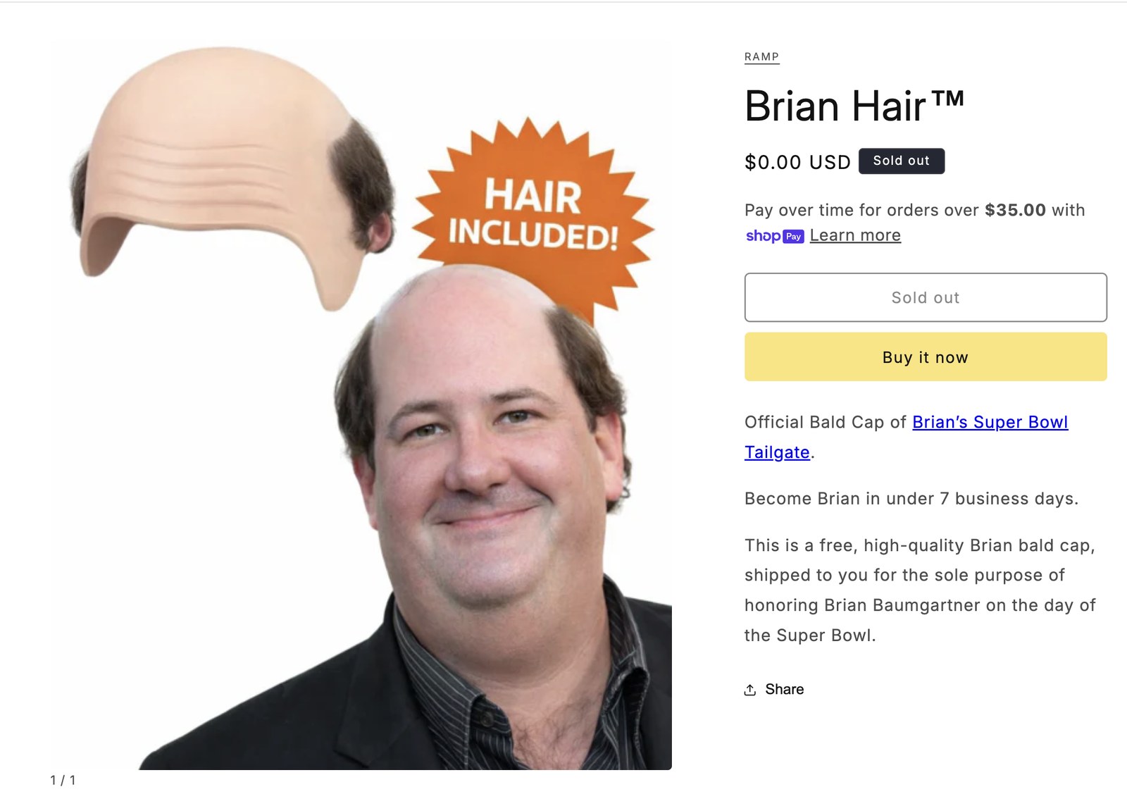 Brian Hair™ — Official Bald Cap of Brian's Super Bowl Tailgate, free, sold out on the Ramp store